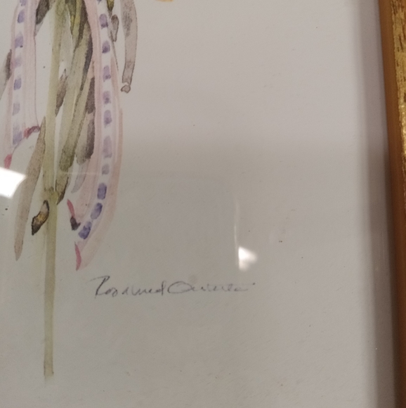 2 Gold Framed Pink Botanica Roses Bouquet Signed Art Wall Decor  6x12" - Picture 4 of 4